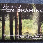 Pineglass Studio, artwork 2