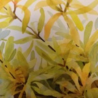 Silverleaf Studio, artwork 2